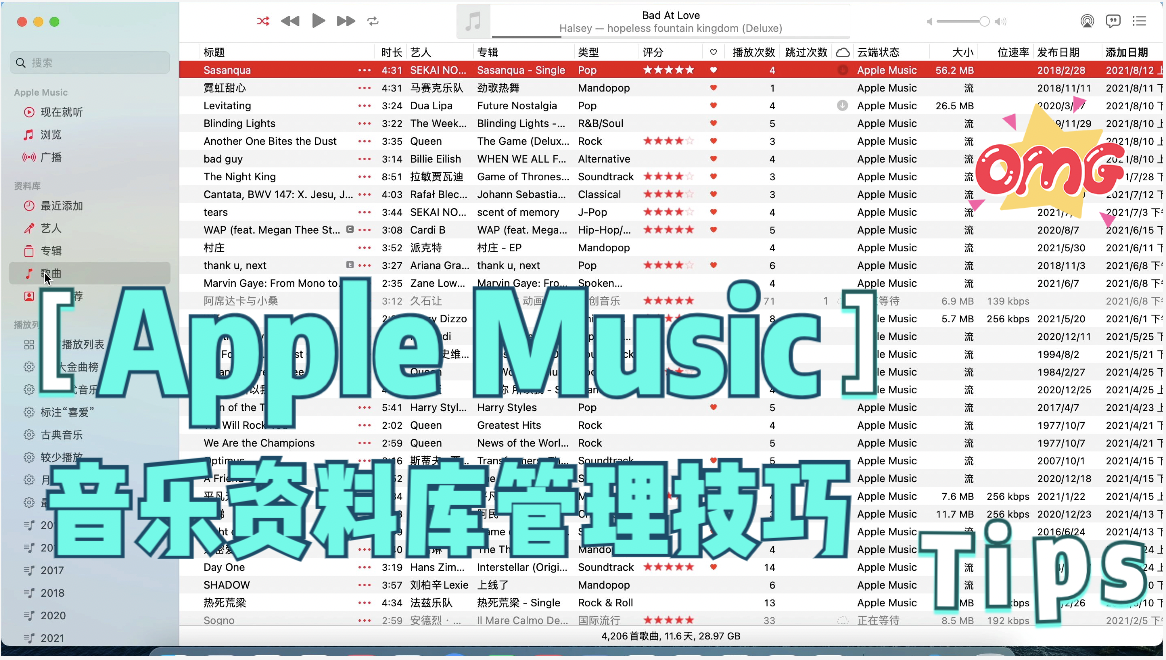 Apple Music 音乐资料库管理技巧
